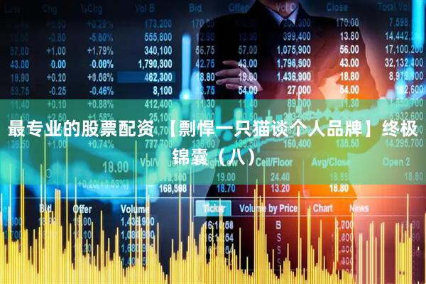 最专业的股票配资 【剽悍一只猫谈个人品牌】终极锦囊（八）