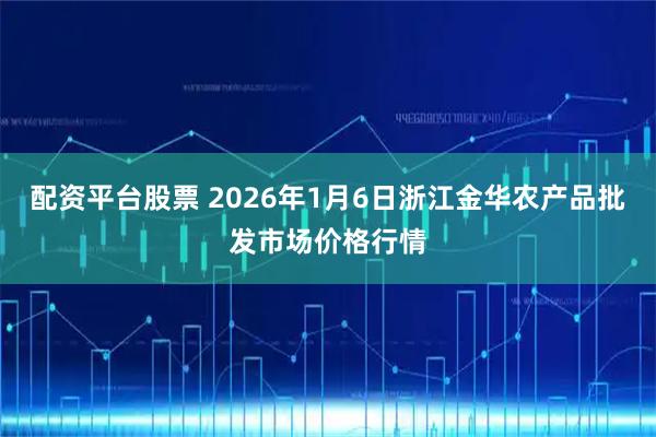 配资平台股票 2026年1月6日浙江金华农产品批发市场价格行情