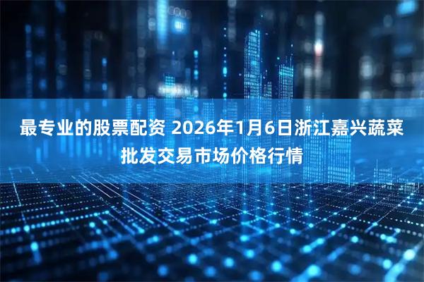 最专业的股票配资 2026年1月6日浙江嘉兴蔬菜批发交易市场价格行情